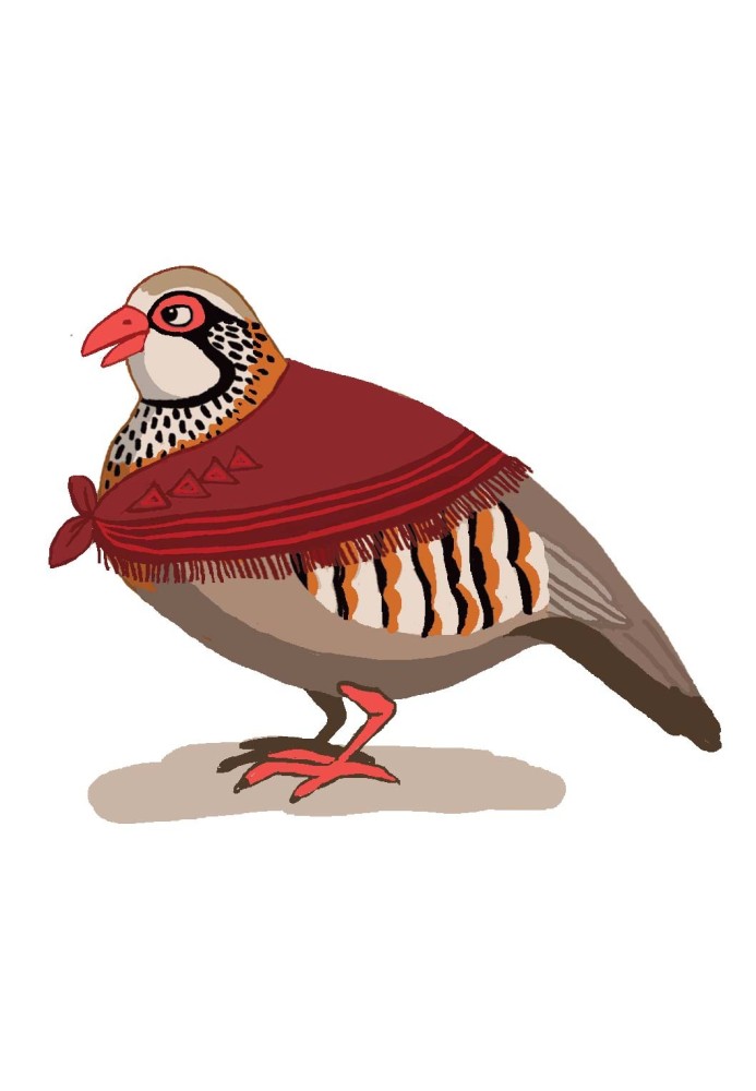 OMMI SISSI , H’JAÎLA LA PERDRIX Et GHRAB LE MÉCHANt CORBEAU OMMI SISSI , H’JAÎLA LA PERDRIX Et GHRAB LE MÉCHANt CORBEAU