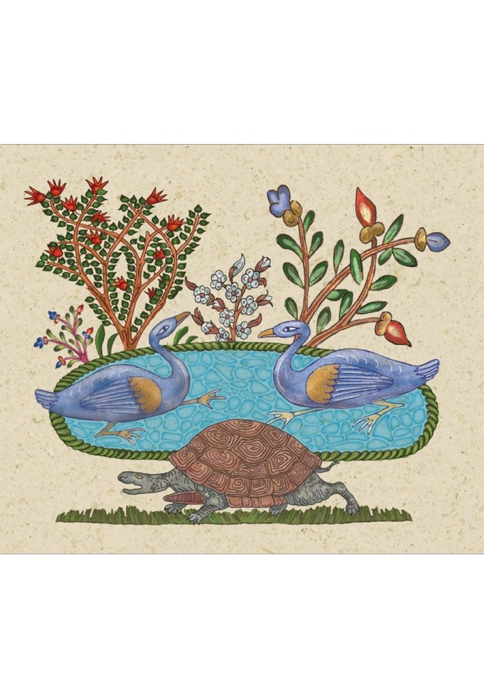 La Tortue Et Les Deux Canards La Tortue Et Les Deux Canards