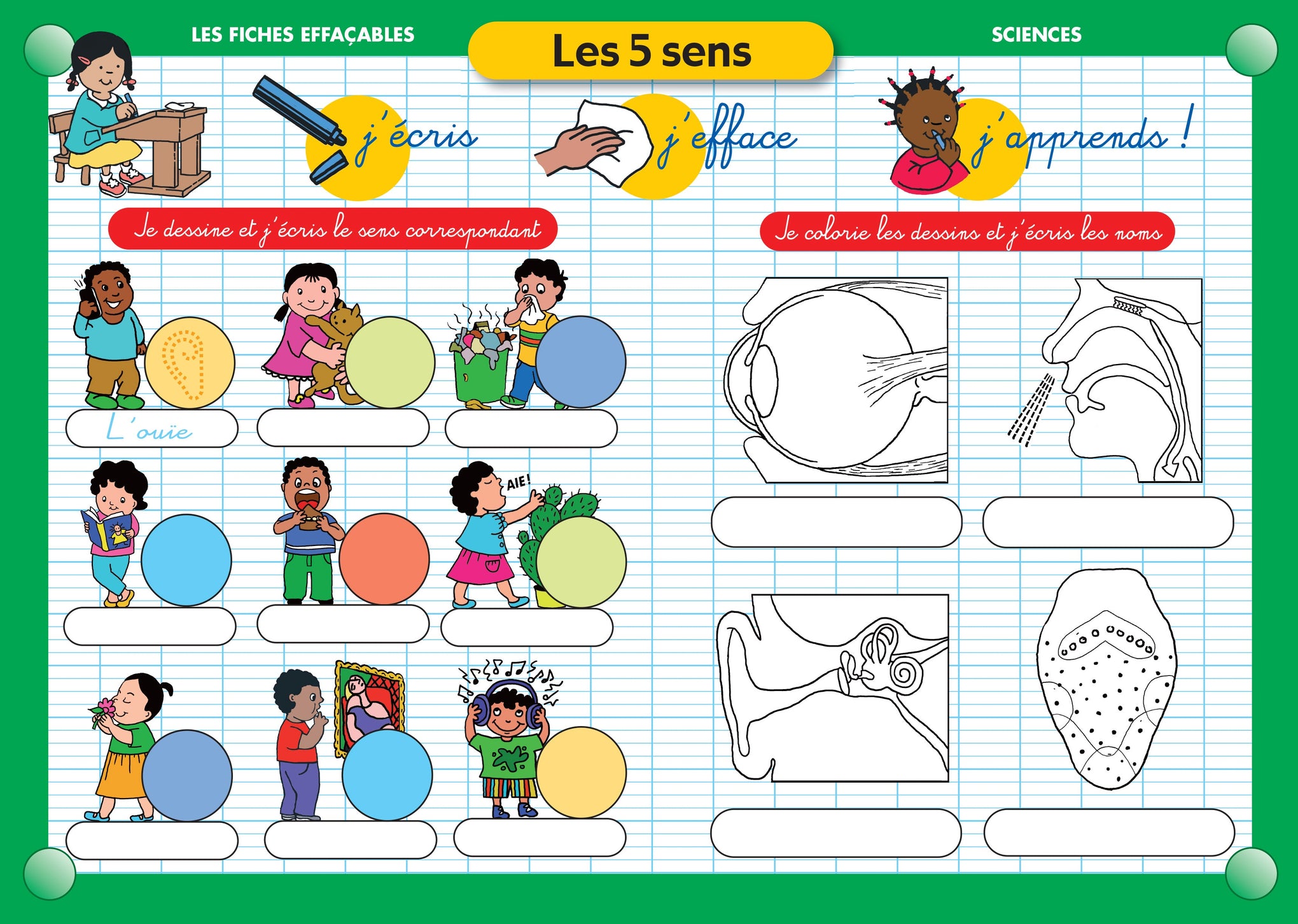 FICHE EFFAÇABLE LES 5 SENS
