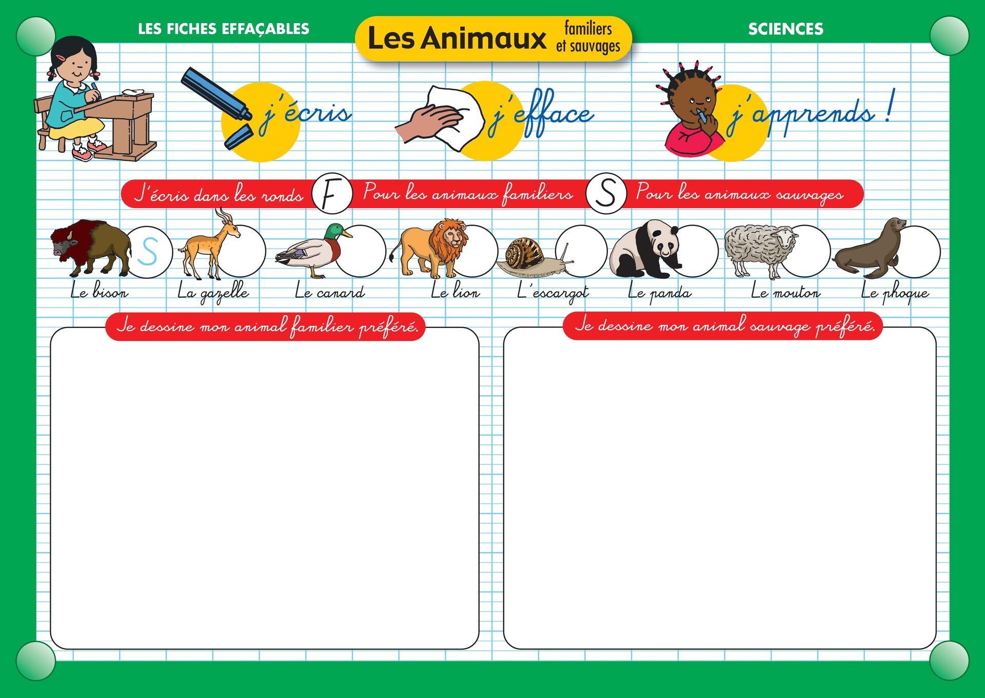 FICHE EFFAÇABLE LES ANIMAUX FAMILIERS ET SAUVAGES