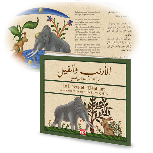 Le Lièvre Et L'éléphant